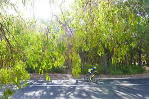 SunSmart FunMan Triathlon - New Castle Holiday 0