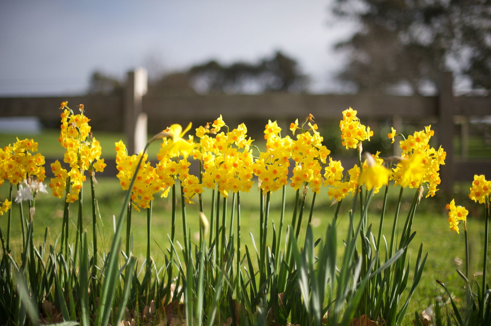 Langwarrin VIC New Castle Holiday