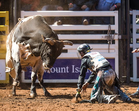 The 2020 Virtual Mount Isa Mines Rodeo - New Castle Holiday 2