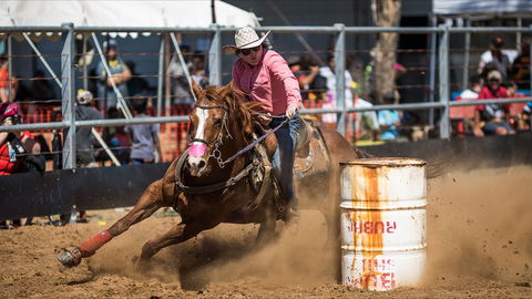 The Gulf Country Frontier Days Festival - New Castle Holiday 2