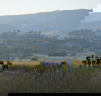 Tumut Cycle Classic - New Castle Holiday