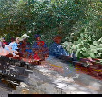 Twilight Run   Willans Hill Miniature Railway - New Castle Holiday