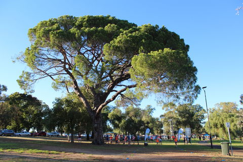 Wagga Parkrun - New Castle Holiday 1