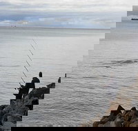 Whale Watching in Portland - New Castle Holiday