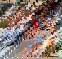 Willans Hill Miniature Railway Rides Open Days - New Castle Holiday