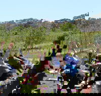 Yoga in the Vines - New Castle Holiday