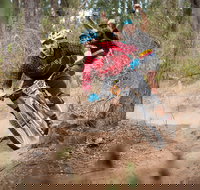 Fox Superflow sealed by Stan's Race  Greenvalleys - New Castle Holiday