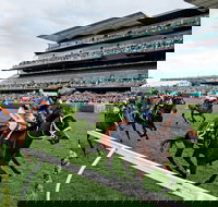 The Everest - New Castle Holiday