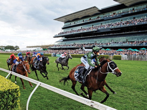 The Everest - New Castle Holiday 0