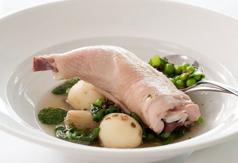 ROCKET Restaurant - New Castle Holiday 3