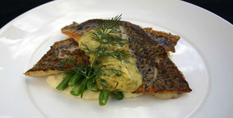 Aquarius Seafood Restaurant - New Castle Holiday 2