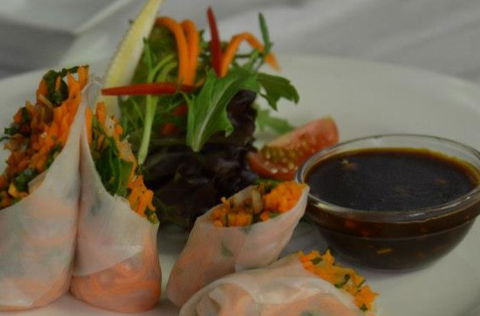 Harvest Vegetarian Restaurant - New Castle Holiday 1