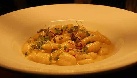 Aquacotta Italian Restaurant - New Castle Holiday 1