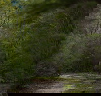 Yering Gorge Cottages - New Castle Holiday