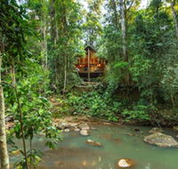 The Canopy Rainforest Treehouses and Wildlife Sanctuary - New Castle Holiday