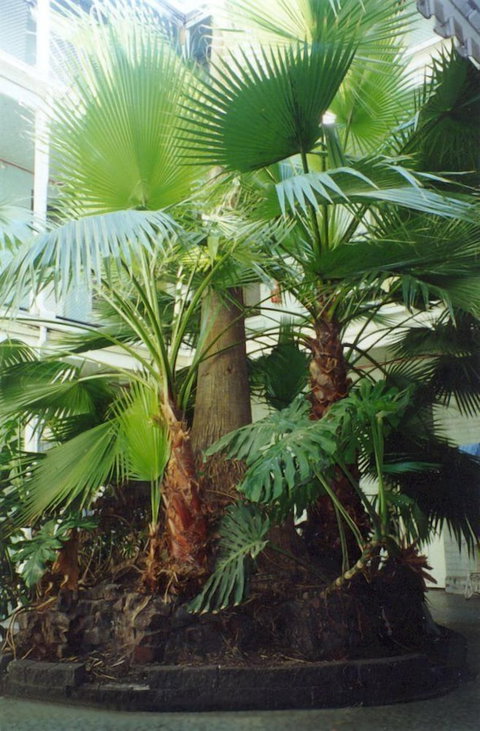 Plaza Hotel - New Castle Holiday 6