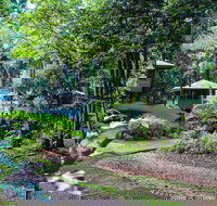 Ferntree Rainforest Lodge - New Castle Holiday