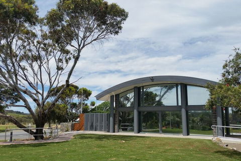 McLaren Vale Motel & Apartments - New Castle Holiday 1