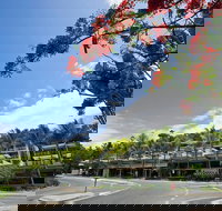 Coconut Grove - New Castle Holiday