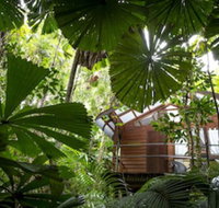 Daintree Wilderness Lodge - New Castle Holiday