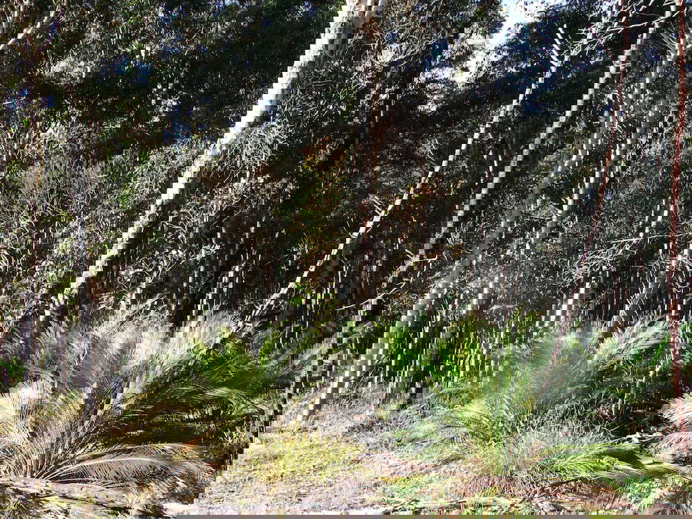 Broulee NSW New Castle Holiday