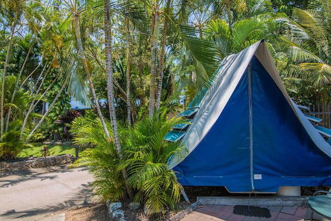 Tasman Holiday Parks - Airlie Beach - New Castle Holiday 5