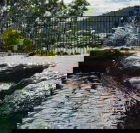 Colonial Palms Motor Inn - New Castle Holiday