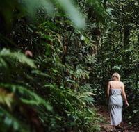 Daintree Ecolodge - New Castle Holiday