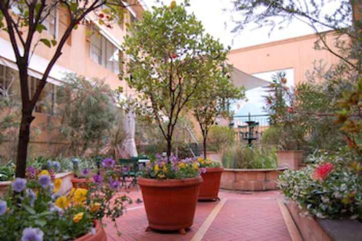 Paddington NSW New Castle Holiday