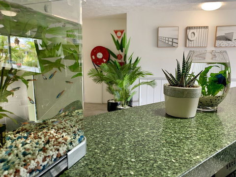 Outrigger Burleigh - New Castle Holiday 6