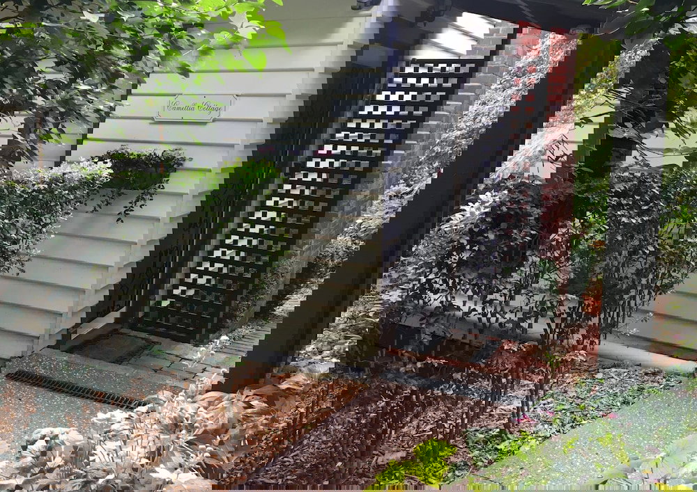 Sassafras VIC New Castle Holiday