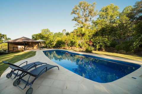 Seclude Rainforest Retreat - New Castle Holiday 3