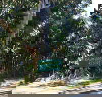 Byron Bay Rainforest Resort - New Castle Holiday