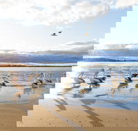 El Paso Motor Inn - New Castle Holiday