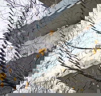 The Sebel Launceston - New Castle Holiday