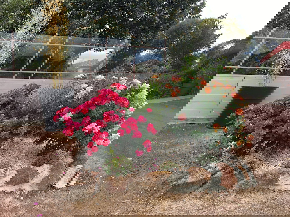 Norval VIC New Castle Holiday