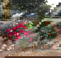 Statesman Motor Inn - New Castle Holiday