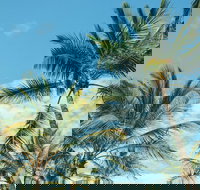 Base Magnetic Island Hostel - New Castle Holiday