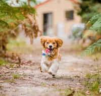 Countrywide Cottages - New Castle Holiday