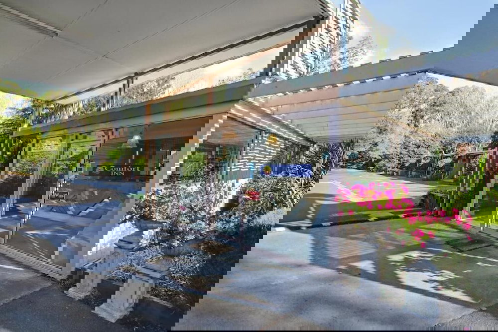 Erica ACT New Castle Holiday