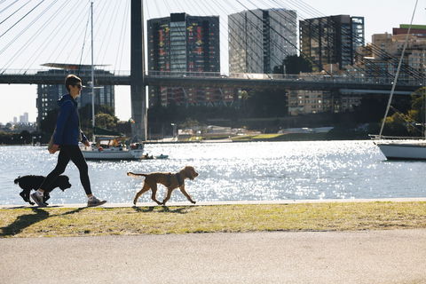 Haven Glebe - New Castle Holiday 0