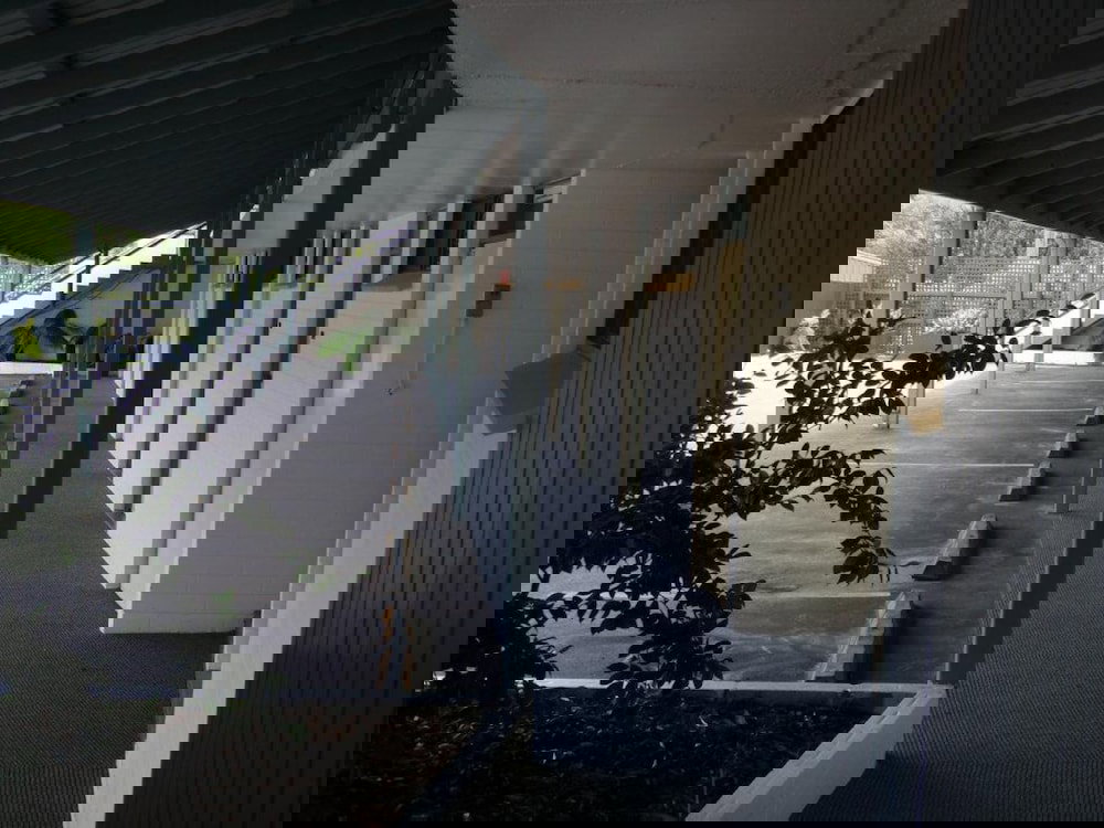 Motel Cypress Gardens QLD New Castle Holiday