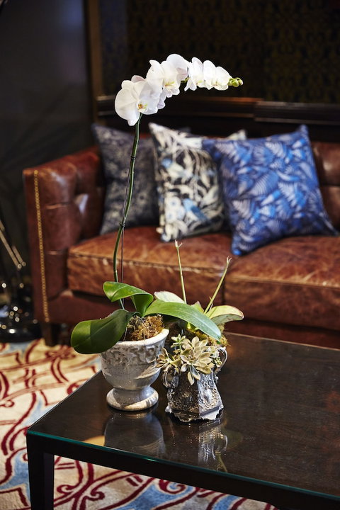 View Brisbane - New Castle Holiday 0