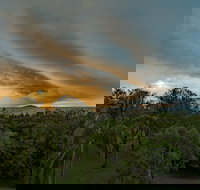 Ocean International - New Castle Holiday