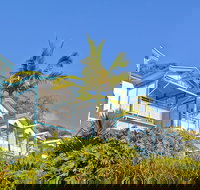 Tangalooma Island Resort - New Castle Holiday