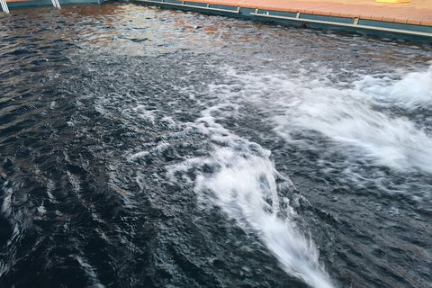 Dragon Phoenix Motel & Restaurant - New Castle Holiday 6