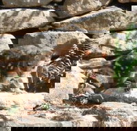 Jenolan Caves House - New Castle Holiday