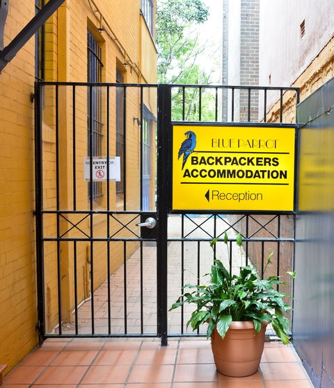 Blue Parrot Backpackers - New Castle Holiday 2