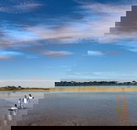 Discovery Parks - Harrington - New Castle Holiday