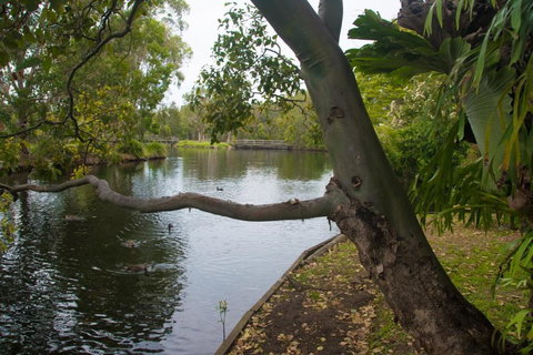 Northlakes Studio - New Castle Holiday 4